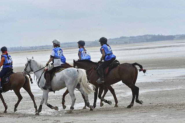 WEG-EnduranceRace-8-28-14-0004632-DDeRosaPhoto