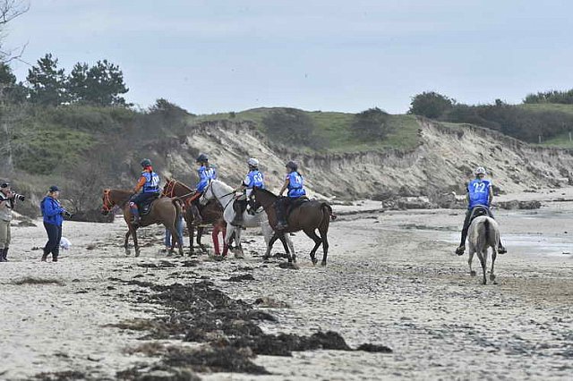 WEG-EnduranceRace-8-28-14-0004676-DDeRosaPhoto