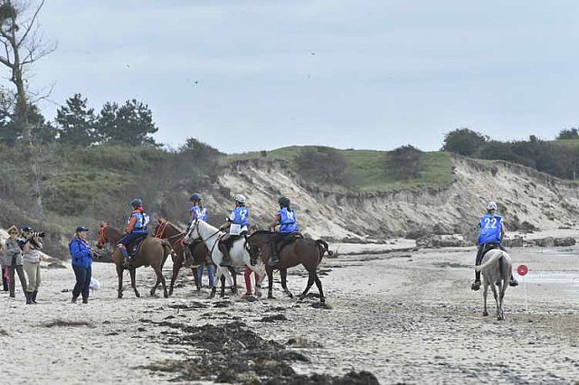 WEG-EnduranceRace-8-28-14-0004678-DDeRosaPhoto