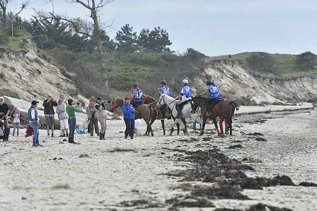 WEG-EnduranceRace-8-28-14-0004680-DDeRosaPhoto