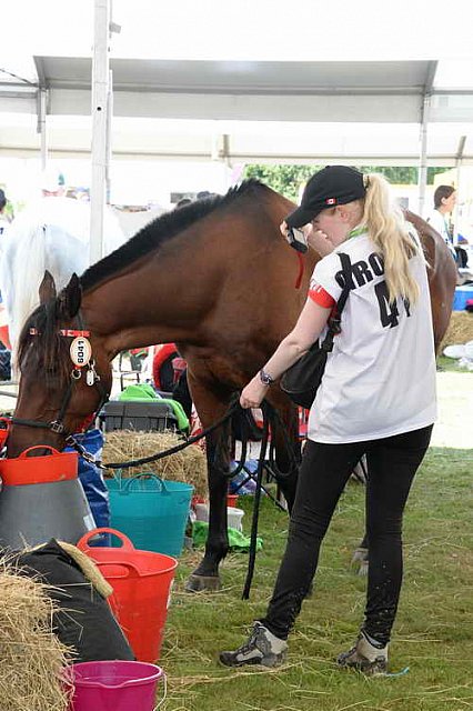 WEG2-Endurance-8-28-14-6527-DDeRosaPhoto