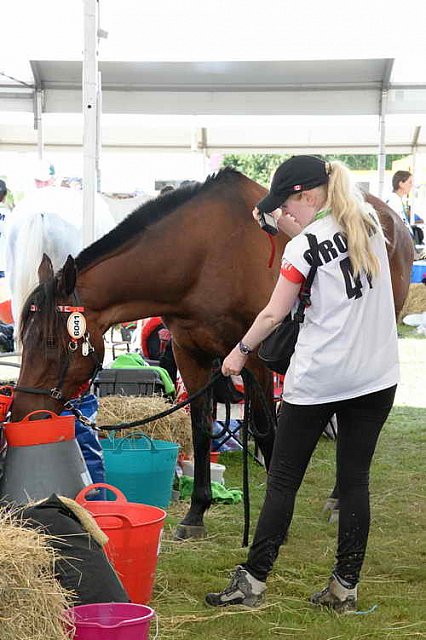 WEG2-Endurance-8-28-14-6528-DDeRosaPhoto