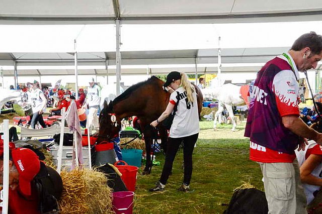 WEG2-Endurance-8-28-14-6529-DDeRosaPhoto