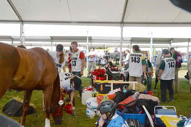 WEG2-Endurance-8-28-14-6544-DDeRosaPhoto