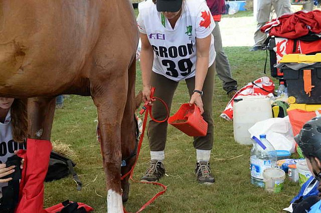 WEG2-Endurance-8-28-14-6548-DDeRosaPhoto