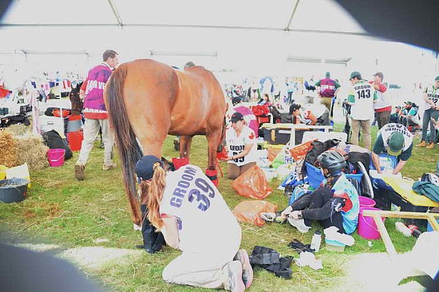 WEG2-Endurance-8-28-14-6579-DDeRosaPhoto