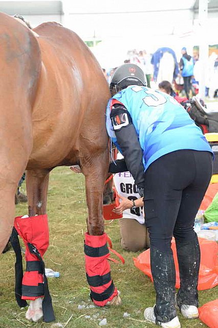 WEG2-Endurance-8-28-14-6590-DDeRosaPhoto
