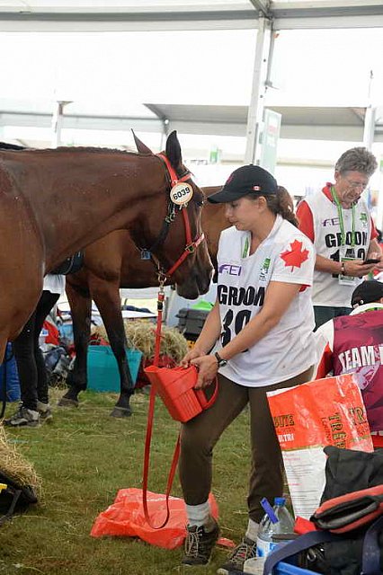 WEG2-Endurance-8-28-14-6609-DDeRosaPhoto