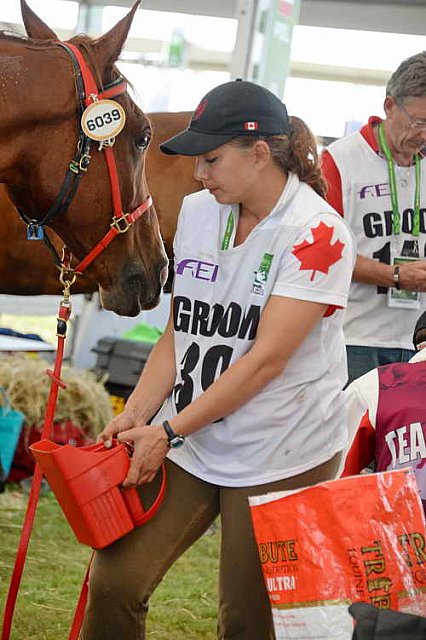 WEG2-Endurance-8-28-14-6610-DDeRosaPhoto
