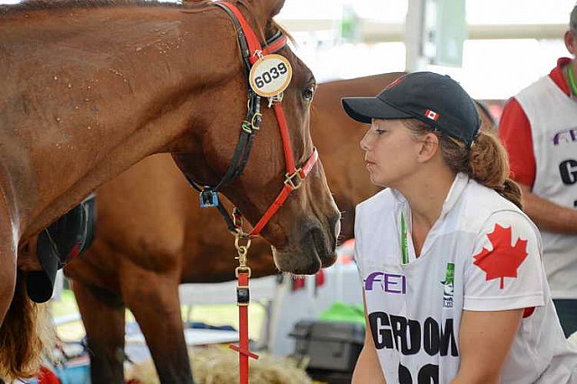 WEG2-Endurance-8-28-14-6612-DDeRosaPhoto
