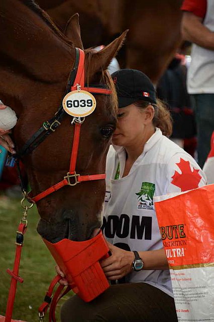 WEG2-Endurance-8-28-14-6619-DDeRosaPhoto