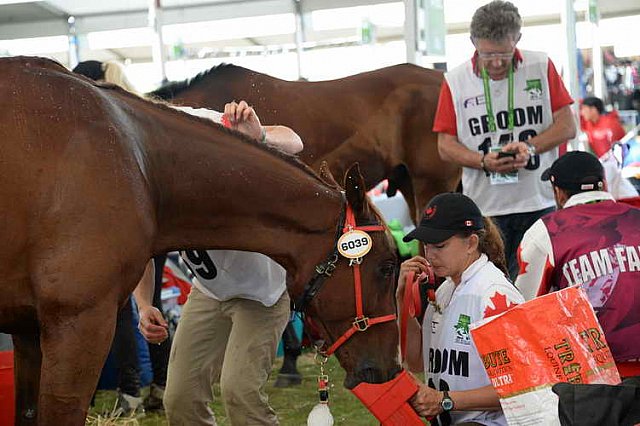 WEG2-Endurance-8-28-14-6624-DDeRosaPhoto