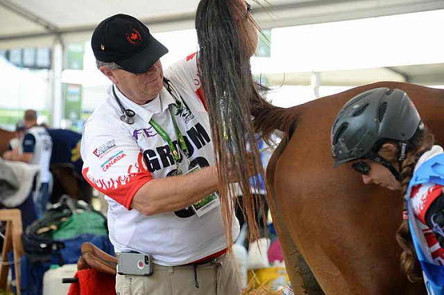 WEG2-Endurance-8-28-14-6631-DDeRosaPhoto