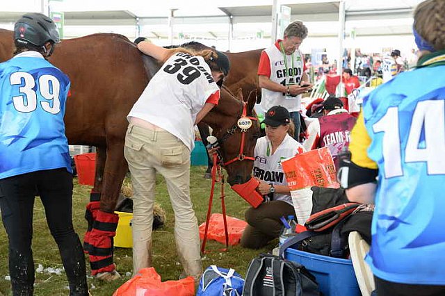 WEG2-Endurance-8-28-14-6641-DDeRosaPhoto