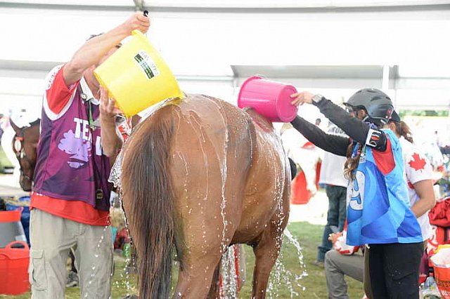 WEG2-Endurance-8-28-14-6655-DDeRosaPhoto
