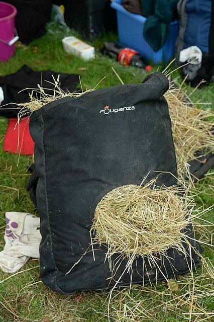 WEG2-Endurance-8-28-14-6804-DDeRosaPhoto