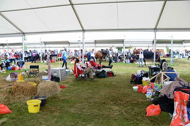 WEG2-Endurance-8-28-14-6812-DDeRosaPhoto