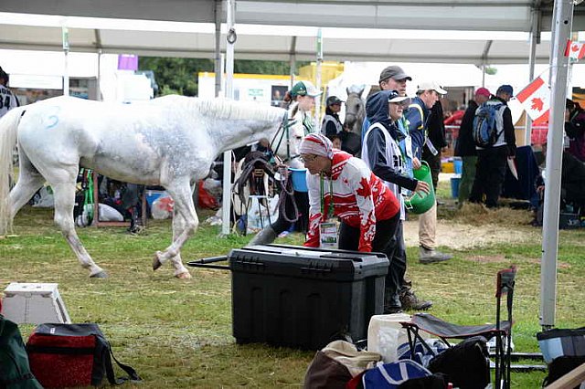 WEG2-Endurance-8-28-14-6815-DDeRosaPhoto