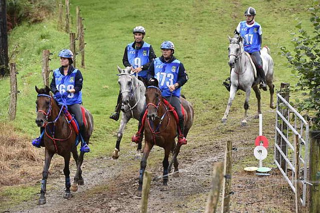WEG-EnduranceRace-8-28-14-0001326-DDeRosaPhoto