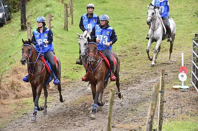 WEG-EnduranceRace-8-28-14-0001327-DDeRosaPhoto