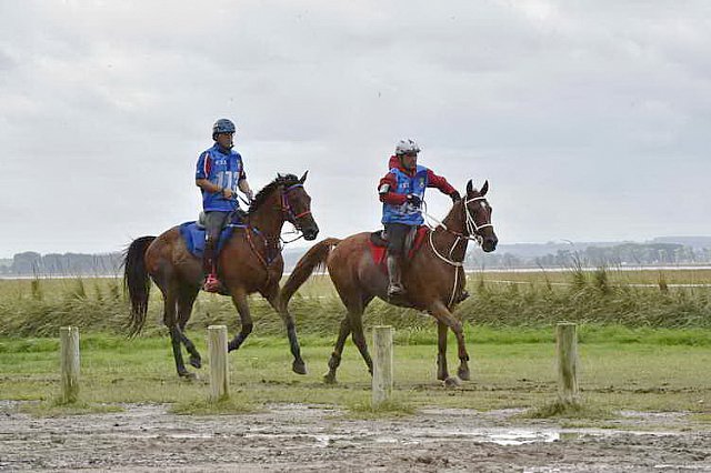 WEG-EnduranceRace-8-28-14-0002200-DDeRosaPhoto