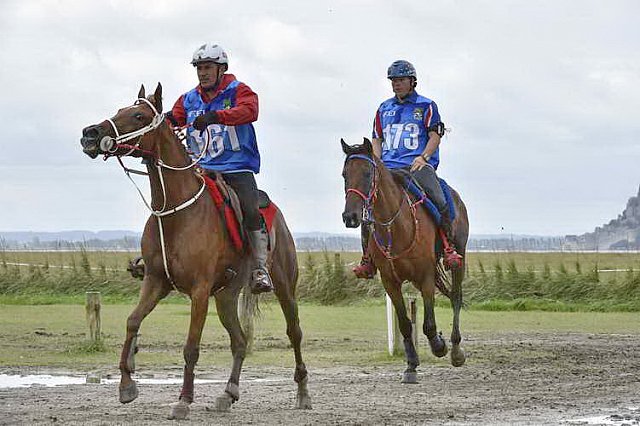 WEG-EnduranceRace-8-28-14-0002221-DDeRosaPhoto