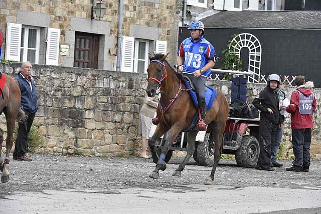 WEG-EnduranceRace-8-28-14-0002263-DDeRosaPhoto
