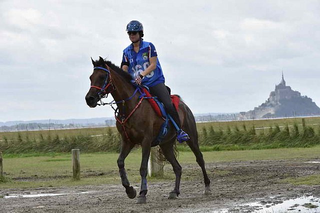 WEG-EnduranceRace-8-28-14-0002303-DDeRosaPhoto