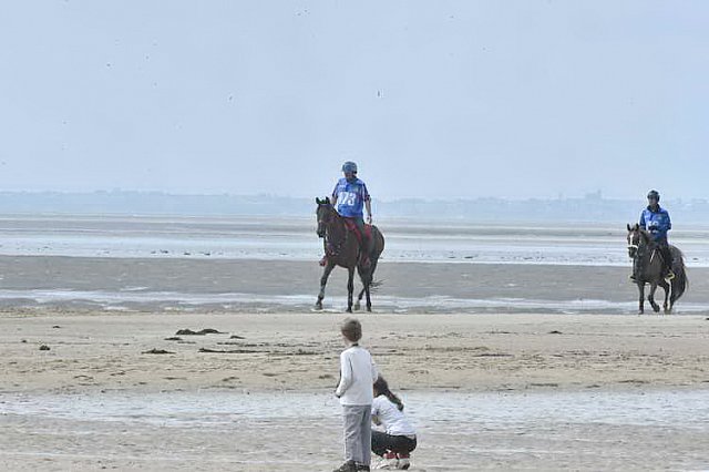 WEG-EnduranceRace-8-28-14-0003802-DDeRosaPhoto
