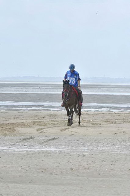 WEG-EnduranceRace-8-28-14-0003825-DDeRosaPhoto