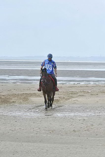 WEG-EnduranceRace-8-28-14-0003832-DDeRosaPhoto