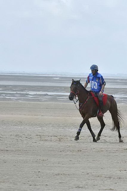 WEG-EnduranceRace-8-28-14-0003846-DDeRosaPhoto