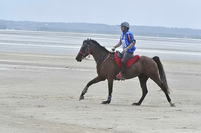 WEG-EnduranceRace-8-28-14-0003864-DDeRosaPhoto