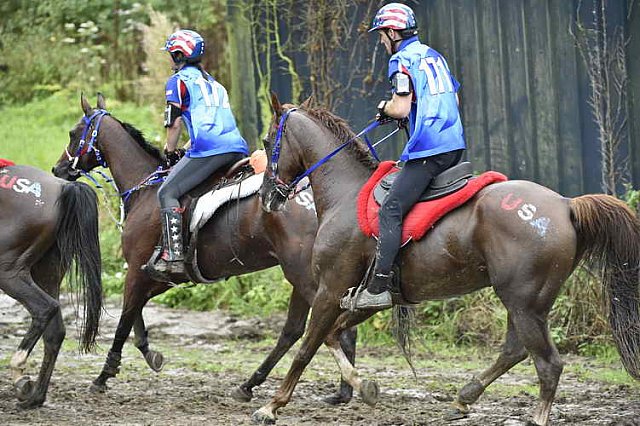 WEG-EnduranceRace-8-28-14-0001051-DDeRosaPhoto