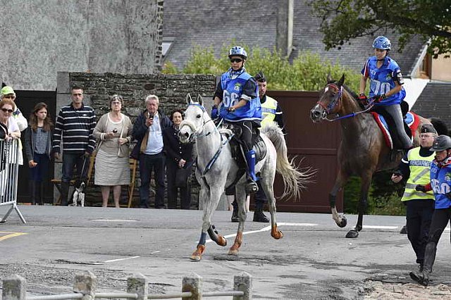 WEG-EnduranceRace-8-28-14-0001728-DDeRosaPhoto