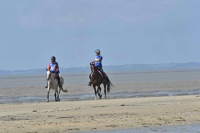 WEG-EnduranceRace-8-28-14-0003379-DDeRosaPhoto