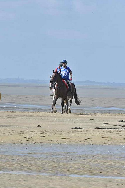 WEG-EnduranceRace-8-28-14-0003386-DDeRosaPhoto