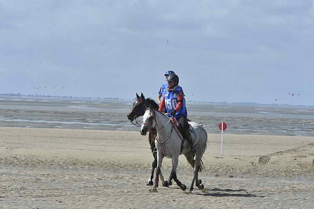 WEG-EnduranceRace-8-28-14-0003418-DDeRosaPhoto
