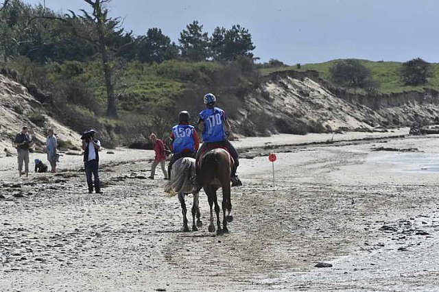 WEG-EnduranceRace-8-28-14-0003467-DDeRosaPhoto