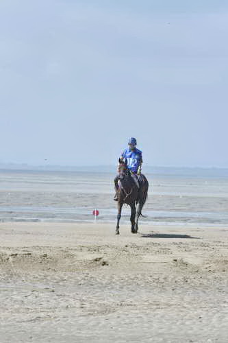 WEG-EnduranceRace-8-28-14-0003624-DDeRosaPhoto