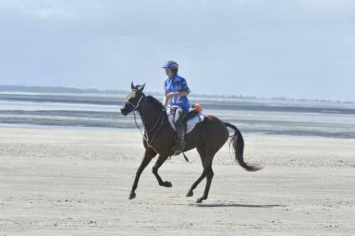 WEG-EnduranceRace-8-28-14-0003664-DDeRosaPhoto