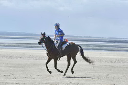 WEG-EnduranceRace-8-28-14-0003665-DDeRosaPhoto
