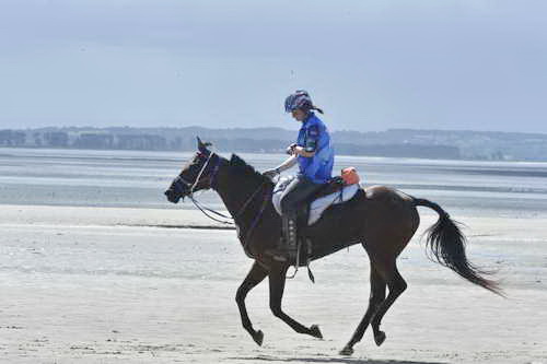 WEG-EnduranceRace-8-28-14-0003674-DDeRosaPhoto