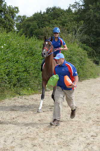 WEG-Endurance-8-24-14-4609-DDeRosaPhoto