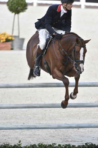 WEG-EventingSJ-8-31-14-0002900-WilliamFox-Pitt-ChilliMorning-GBR-DDeRosaPhoto