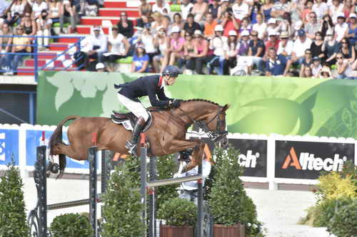 WEG-EventingSJ-8-31-14-0002906-WilliamFox-Pitt-ChilliMorning-GBR-DDeRosaPhoto