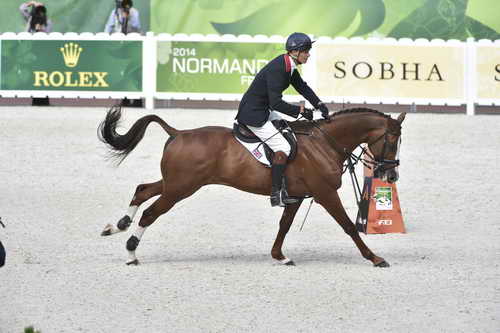 WEG-EventingSJ-8-31-14-0002922-WilliamFox-Pitt-ChilliMorning-GBR-DDeRosaPhoto
