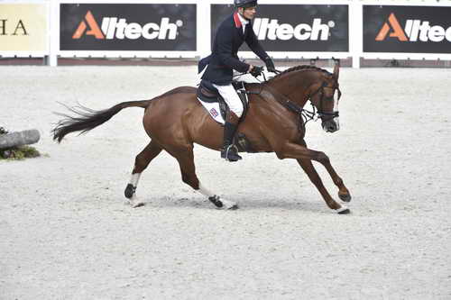 WEG-EventingSJ-8-31-14-0002923-WilliamFox-Pitt-ChilliMorning-GBR-DDeRosaPhoto