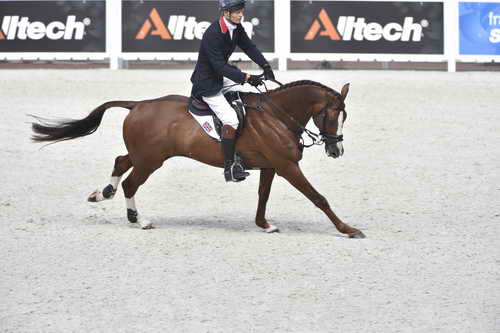 WEG-EventingSJ-8-31-14-0002924-WilliamFox-Pitt-ChilliMorning-GBR-DDeRosaPhoto