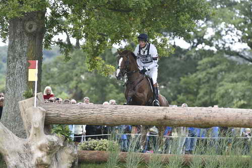 WEG1-Eventing-8-30-14-0008475-WilliamFox-Pitt-ChilliMorning-GBR-DDeRosaPhoto